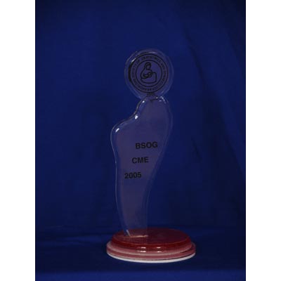 Acrylic Trophies