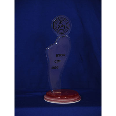 Acrylic Trophies
