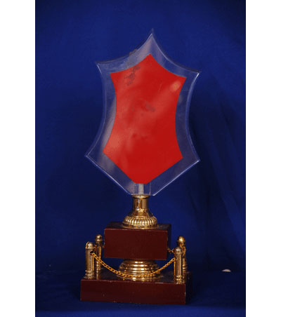 Acrylic Trophies