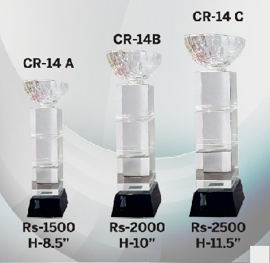 Crystal Trophy